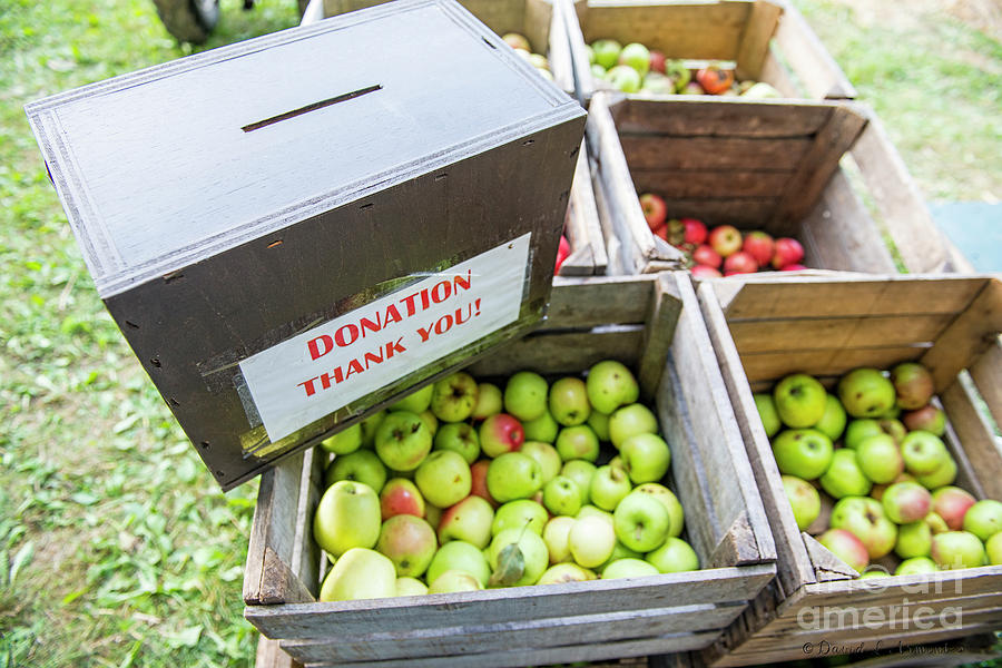 Apples for Sale Photograph by David Arment
