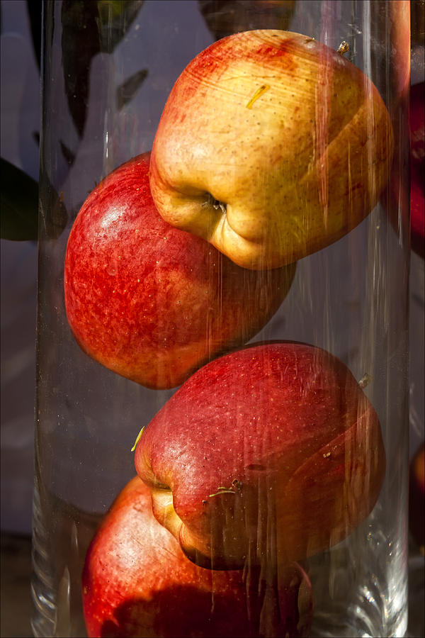 Apples in a Jar Photograph by Robert Ullmann
