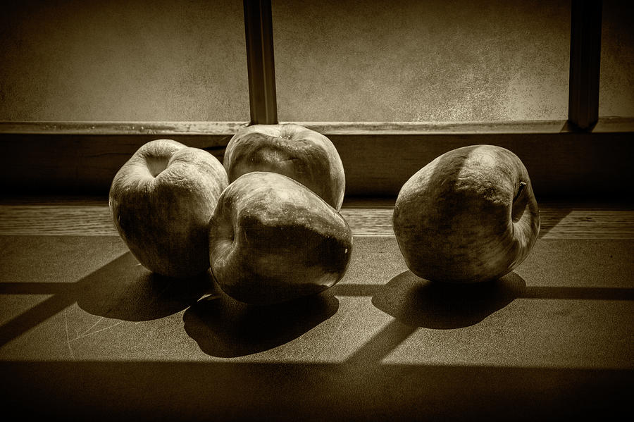 Apples in the Sun Light by the Window in Sepia Tone Photograph by Randall Nyhof