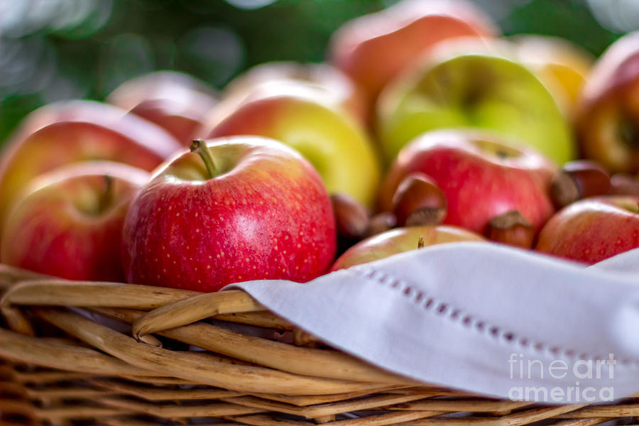 Apple Photograph - Apples by Lana Malamatidi