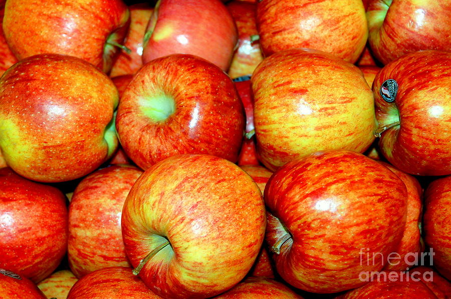 Apples Photograph by Mia Alexander