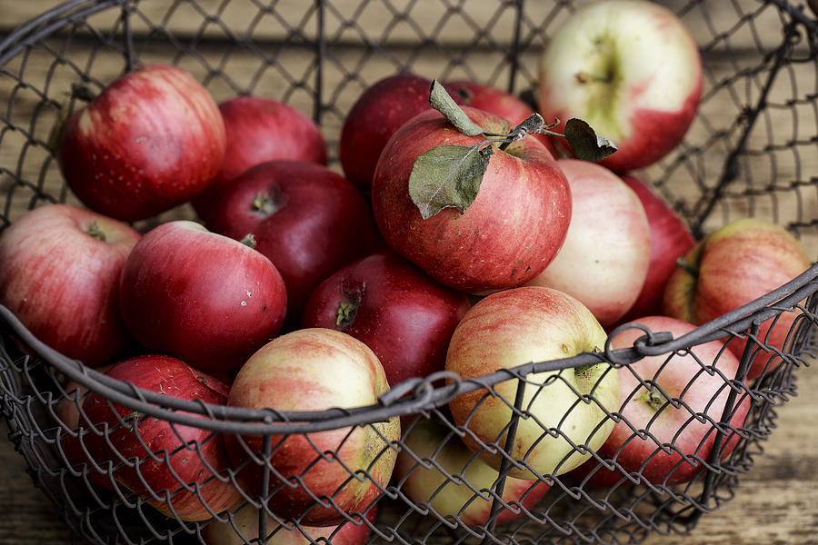 Apple Photograph - Apples by Nailia Schwarz