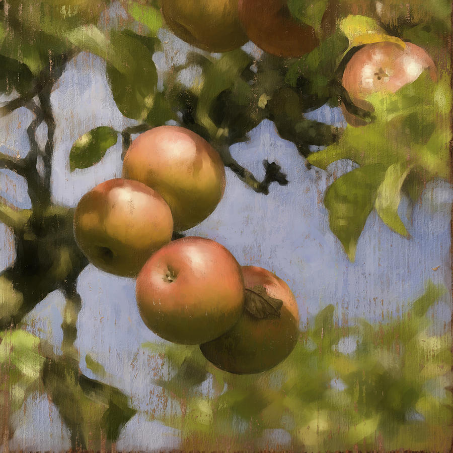 Apples on Wood Panel Digital Art by Simon Sturge