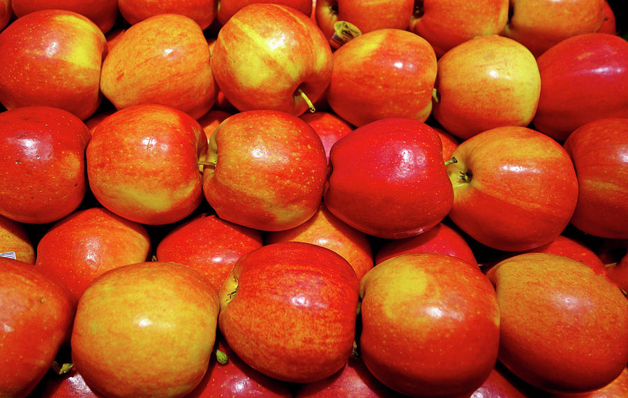 Apples Photograph by Robert Meyers-Lussier