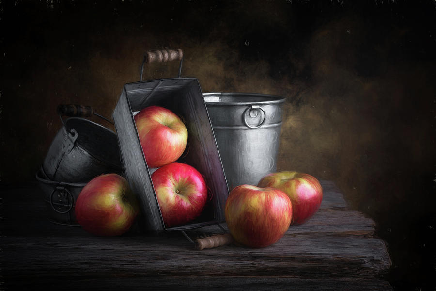Apple Photograph - Apples with Metalware by Tom Mc Nemar