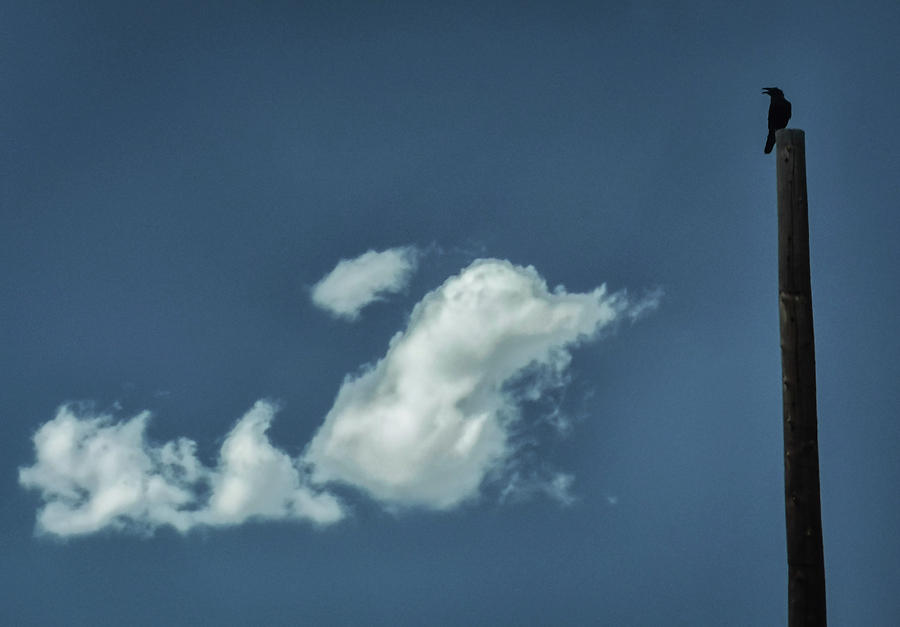 Approaching Cloud Photograph by Bill Wiebesiek