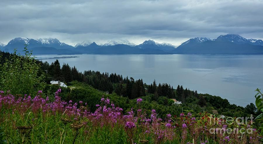Approaching Homer Alaska Photograph by Tatyana Searcy
