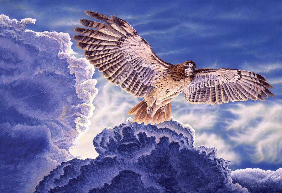 Approaching Storm - Redtailed Hawk Painting by Craig Carlson