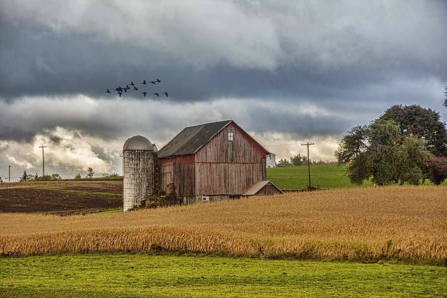 Approaching Storm Photograph by Cathy Kovarik