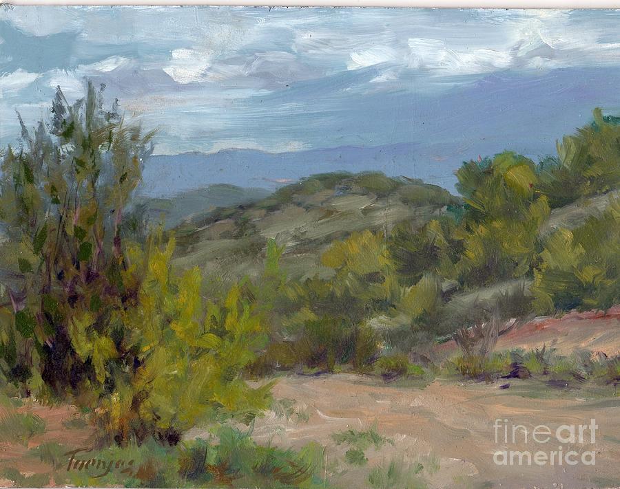 Approaching Storm over Verde Valley Painting by James H Toenjes