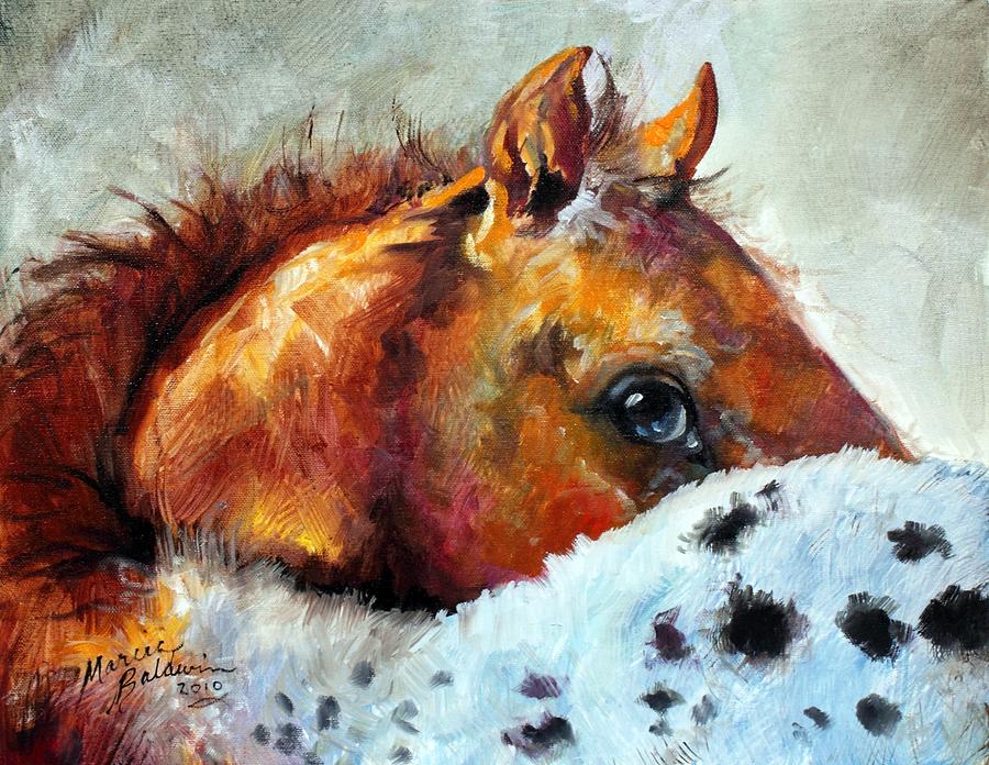 Appy Colt Painting by Marcia Baldwin