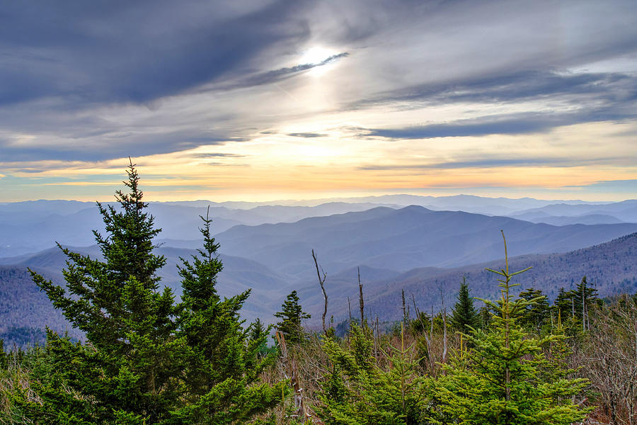 Fall Photograph - Apricot Afternoon at Clingmans Dome by Kristina Plaas Fall Photograph - Apricot Afternoon at Clingmans Dome by Kristina Plaas