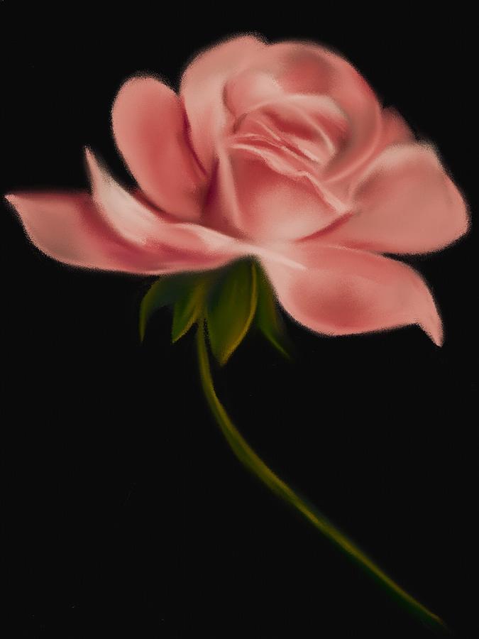 Apricot Beauty Rose Digital Art by Michele Koutris