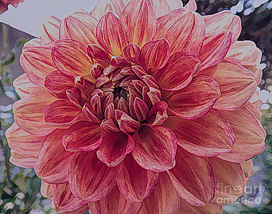 Apricot Dahlia Flower with Drawing Effect Mixed Media by Rose Santuci-Sofranko