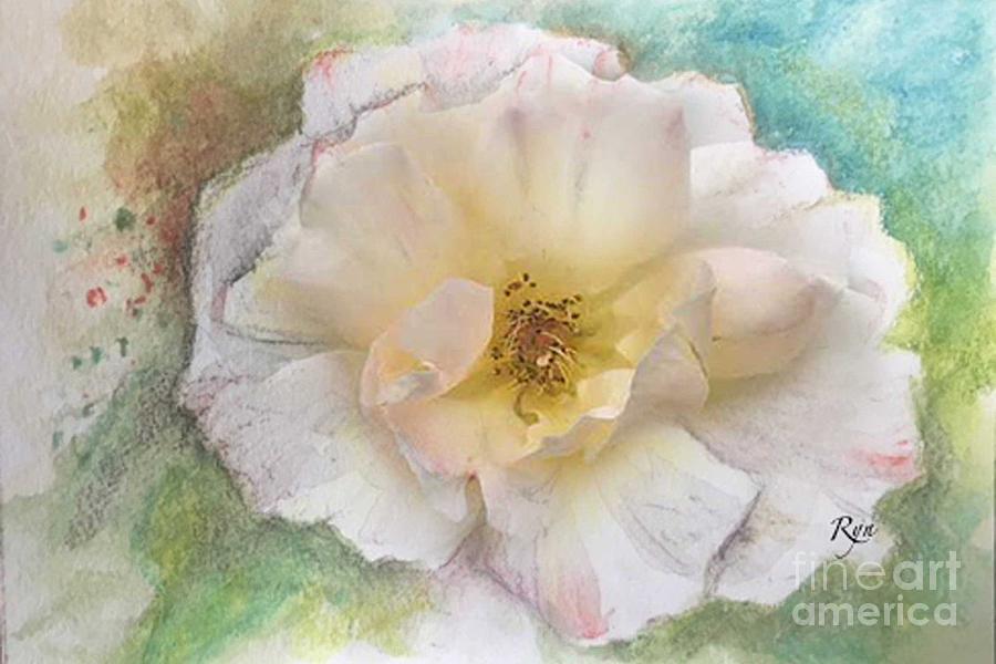 Apricot Nectar rose Painting by Ryn Shell