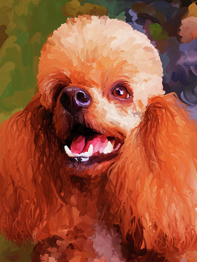 Apricot Poodle Painting by Jai Johnson