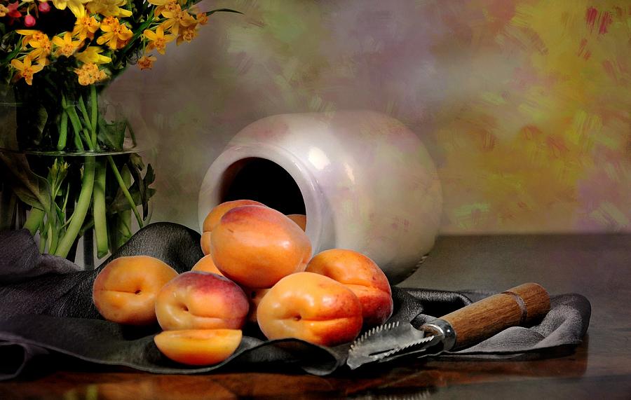 Apricot Pot Photograph by Diana Angstadt