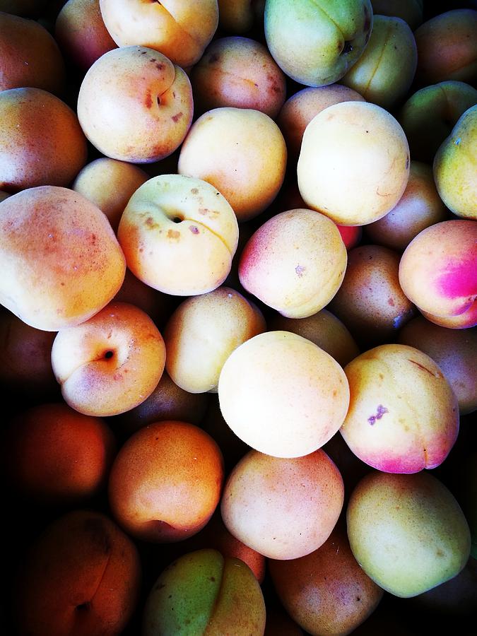 Apricots Photograph by Jarek Filipowicz