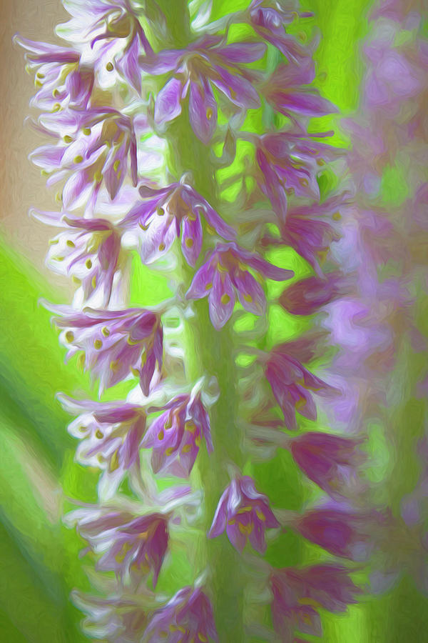 April Flowers Digital Art by Becky Titus