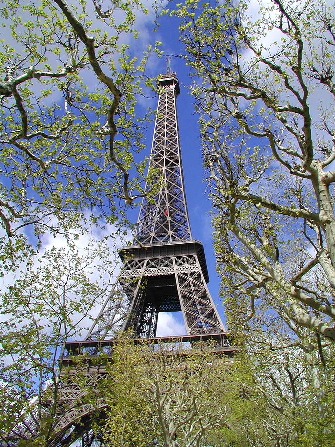 April in Paris Photograph by Tom Reynen