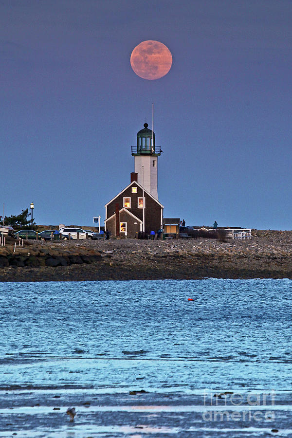 April Moon Rise  Photograph by Butch Lombardi