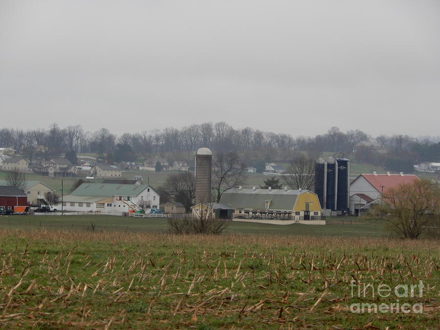 April Morning on the Amish Homestead Photograph by Christine Clark