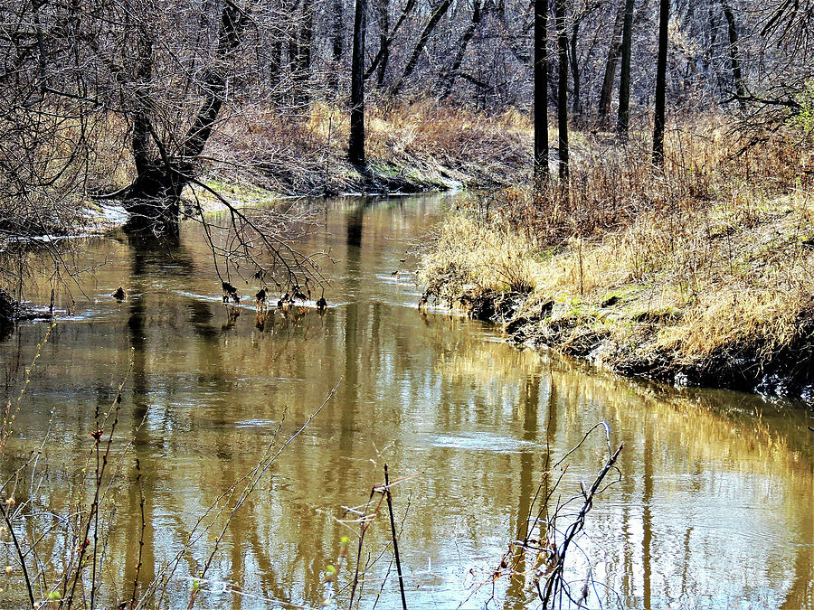 April Reflections On Creek Photograph