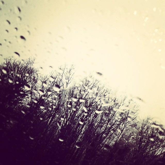 Potd Photograph - April Showers... #rain #potd by Erin Cadigan