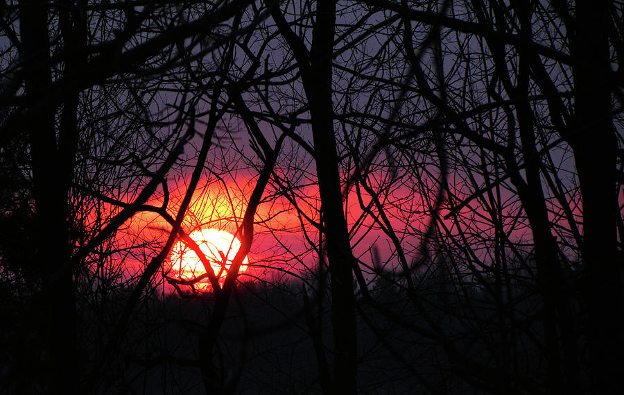April Sunrise ll Photograph by Deborah Johnson