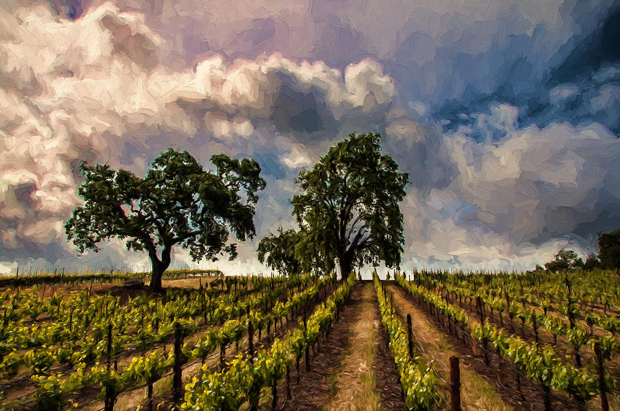 Wine Photograph - April Vines by John K Woodruff