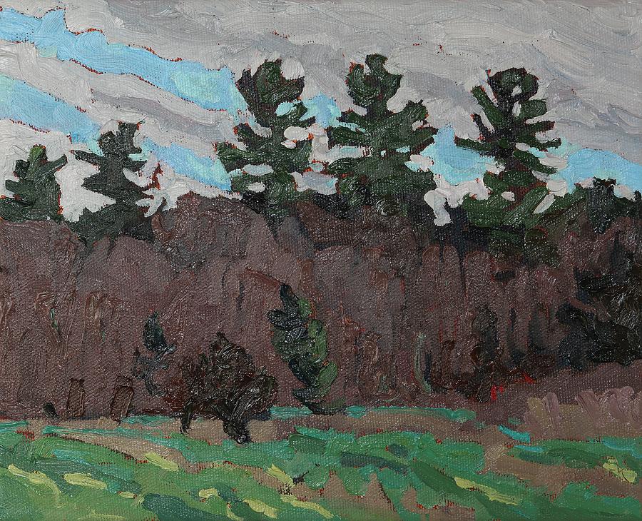 April White Pine Forest Painting by Phil Chadwick