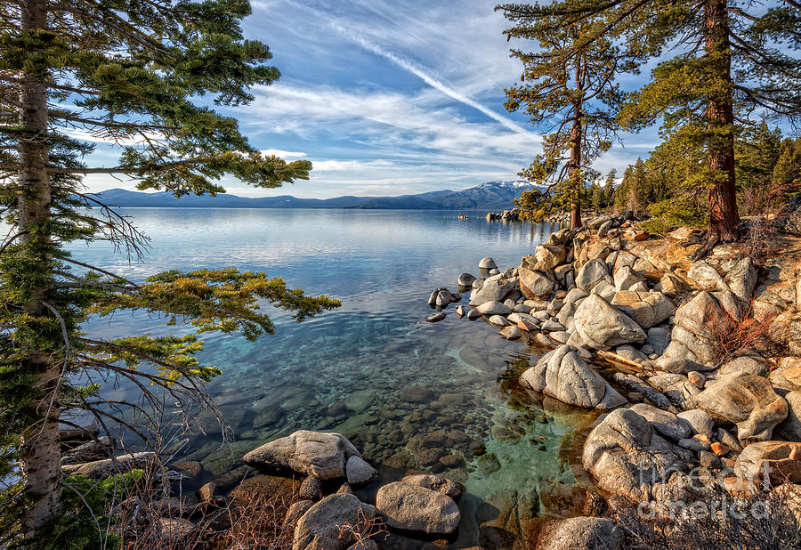 Tree Photograph - Aqua Blue at Tahoe by Dianne Phelps