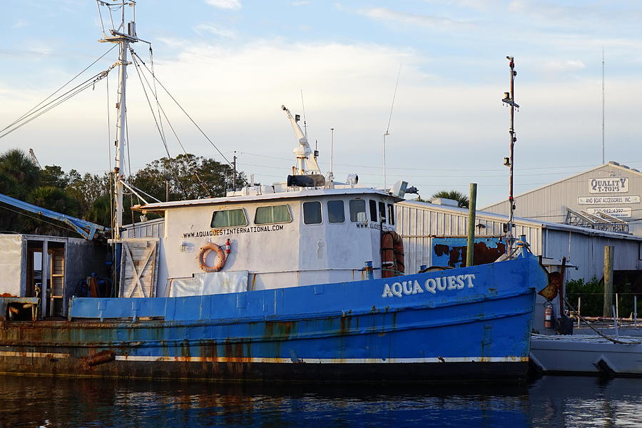 Aqua Quest Photograph by Laurie Perry