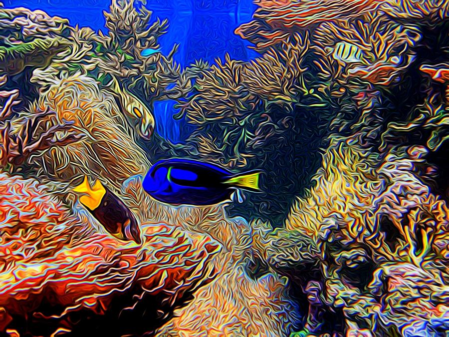 Aquarium Adventures In Abstract by Kristalin Davis Photograph by Kristalin Davis