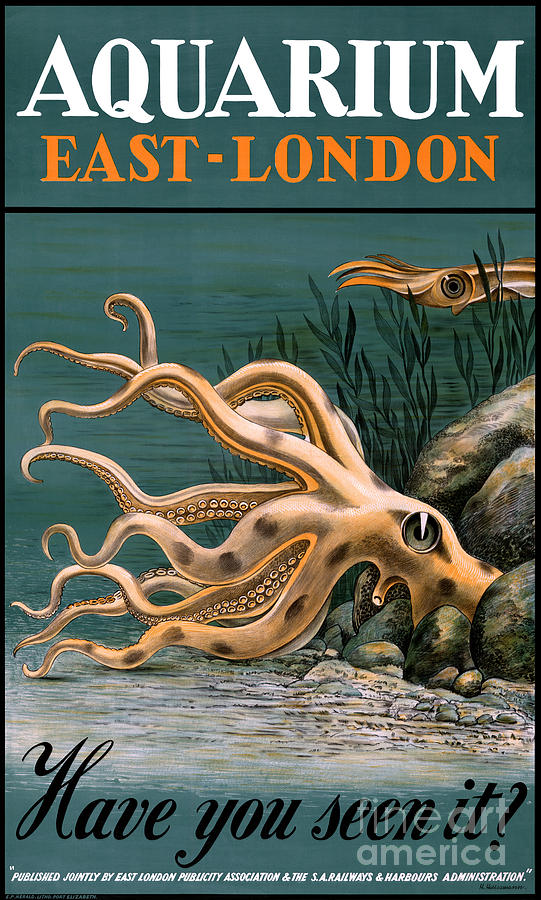 Octopus Painting - Aquarium Octopus Vintage Poster Restored by Vintage Treasure
