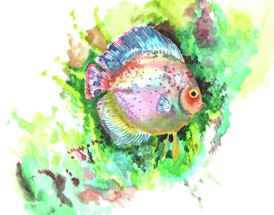Aquarium Fish, Discus Painting by Suren Nersisyan