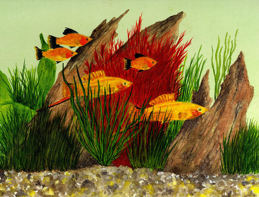 Fish Painting - Aquarium Fish by Michael Vigliotti