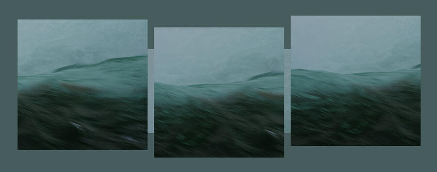 Aquascape Triptych - Photograph by Julie Weber