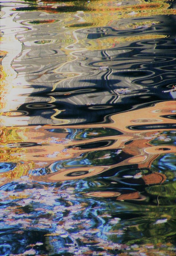 Aquatic Abstraction Photograph by Monique Michel - Fine Art America