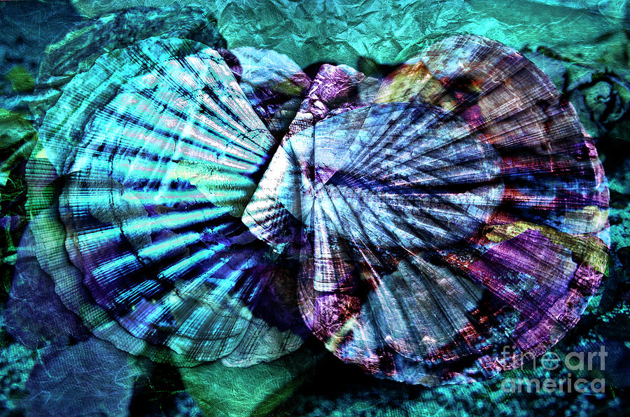 Aquatic Sound Digital Art by Silva Wischeropp