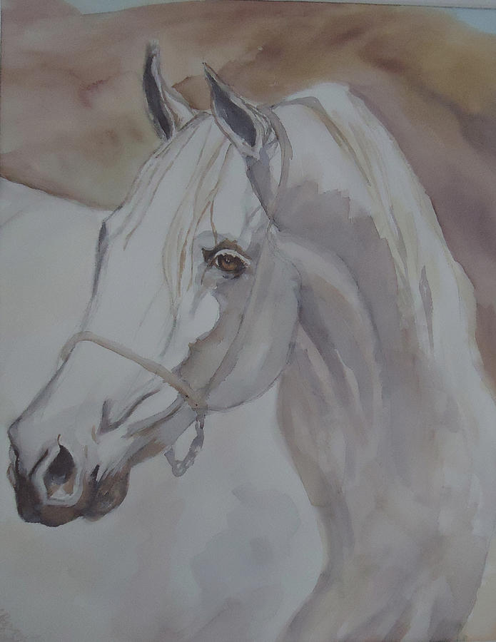 Arab Stallion in the Desert Painting by Charme Curtin