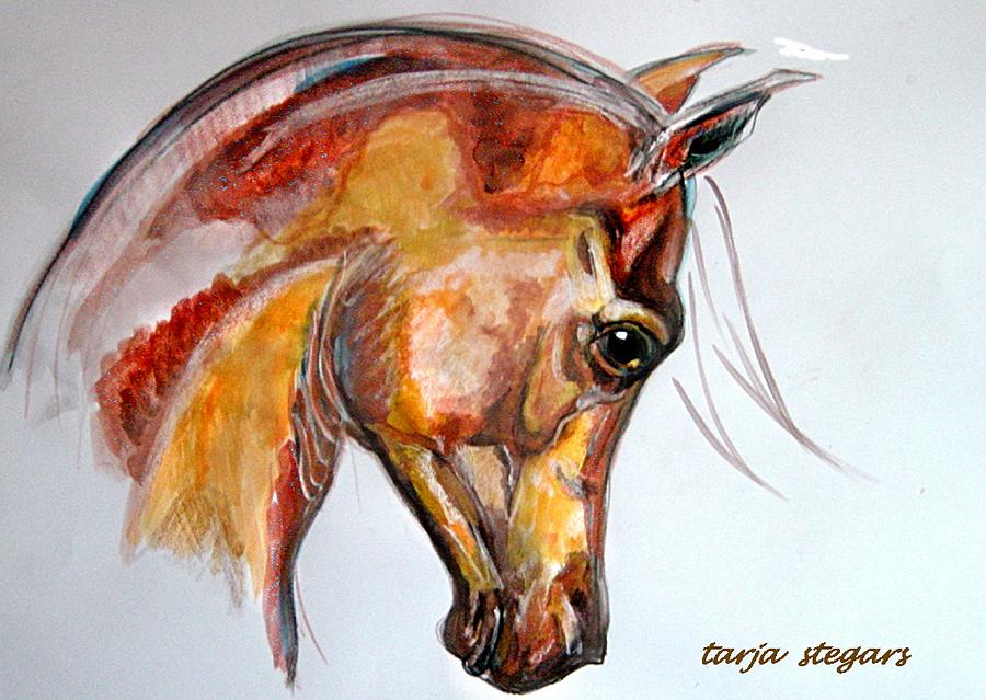 Animal Painting - Arabia II by Tarja Stegars