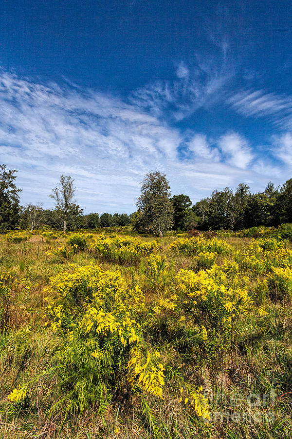 Fall in North Georgia Photograph by Bernd Laeschke