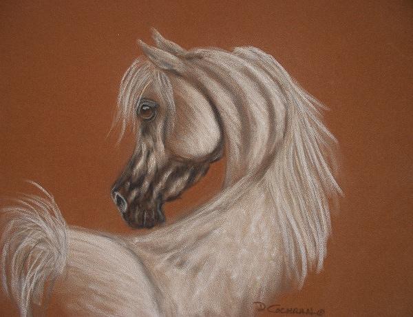 Horse Painting - Arabian by Diana Cochran Horse Painting - Arabian by Diana Cochran