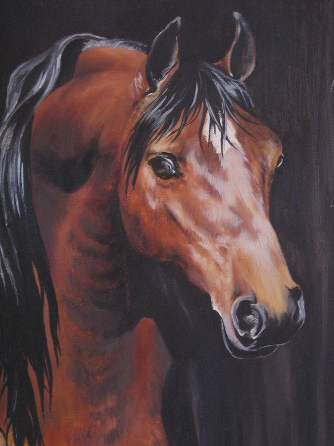 Arabian Horse 1 Painting by Barbara Prestridge