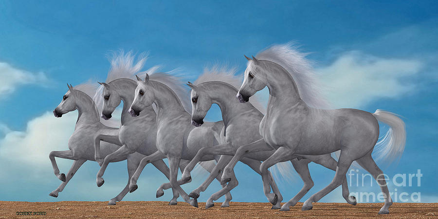 Arabian Horse Herd Painting by Corey Ford