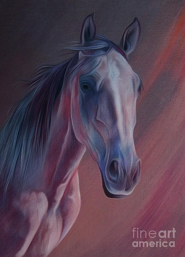 Arabian Horse portrait 01 Painting by Gull G