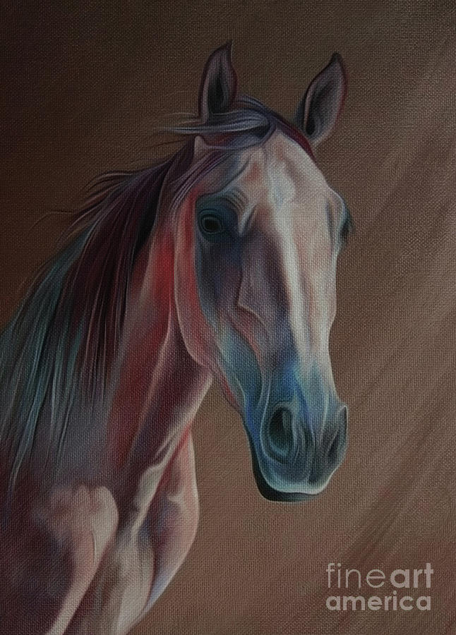 Arabian Horse Portrait 03 Painting by Gull G