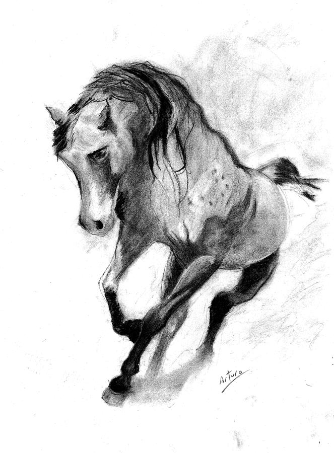 Arabian Horse Running Through the Desert Drawing by Arturo A Marroquin ...