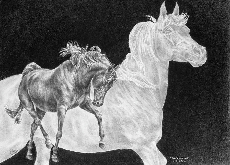 Black And White Drawing - Arabian Horse Spirit Print by Kelli Swan